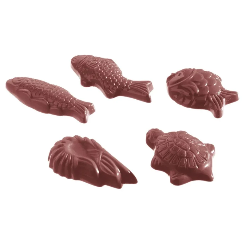 kiwistore-3565729