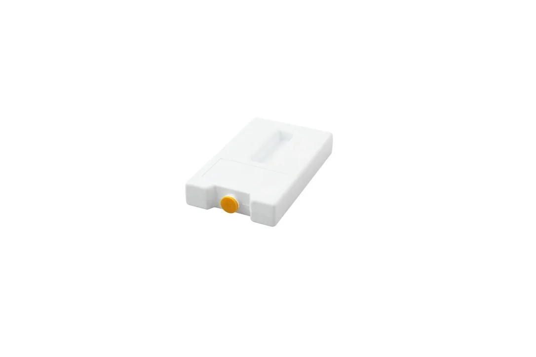kiwistore-3565861