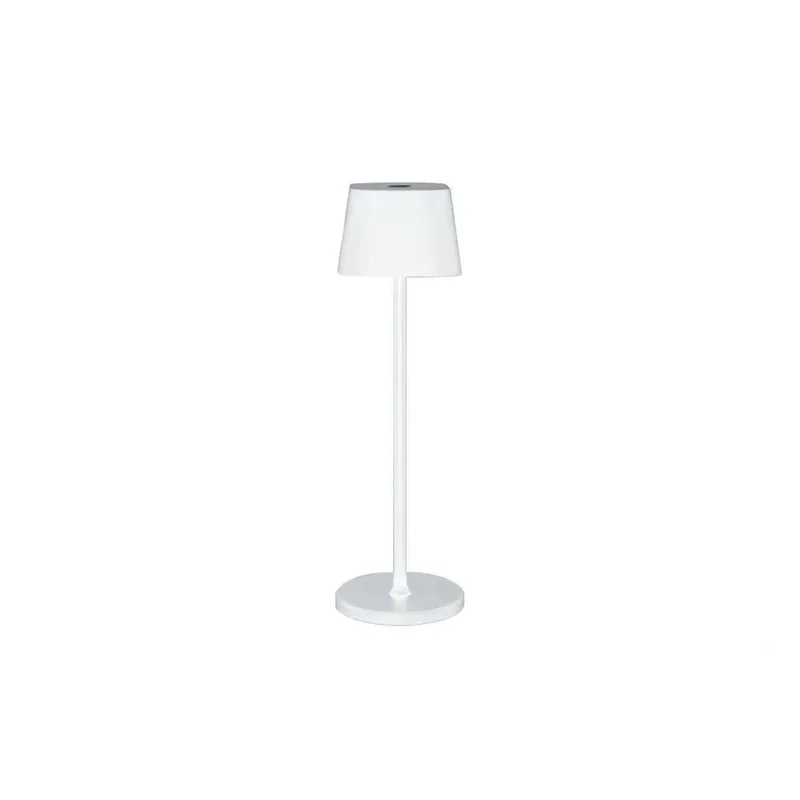 kiwistore-3567679