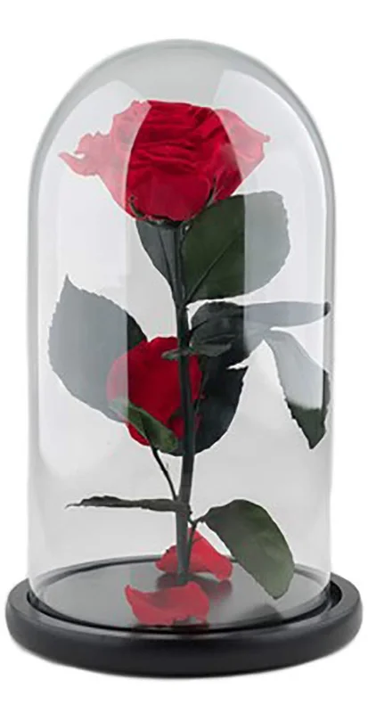 peragashop13563847