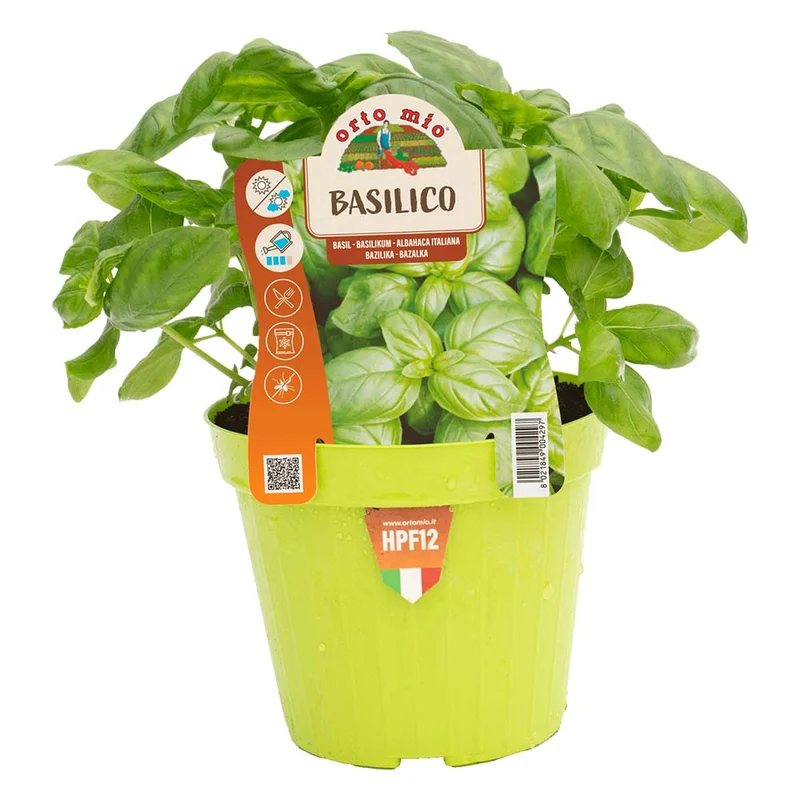 peragashop13849260