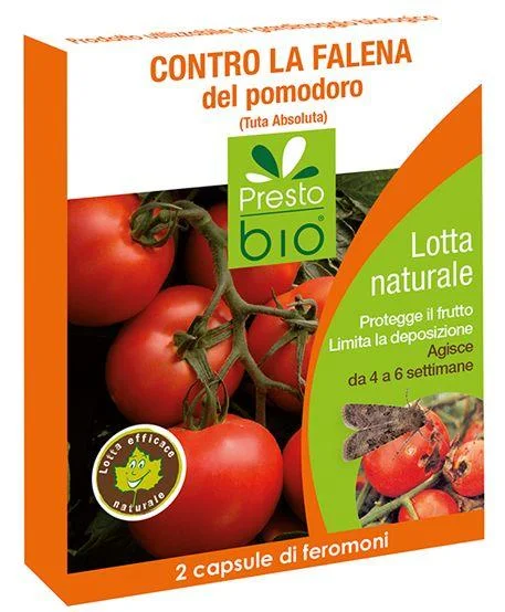 peragashop13858575