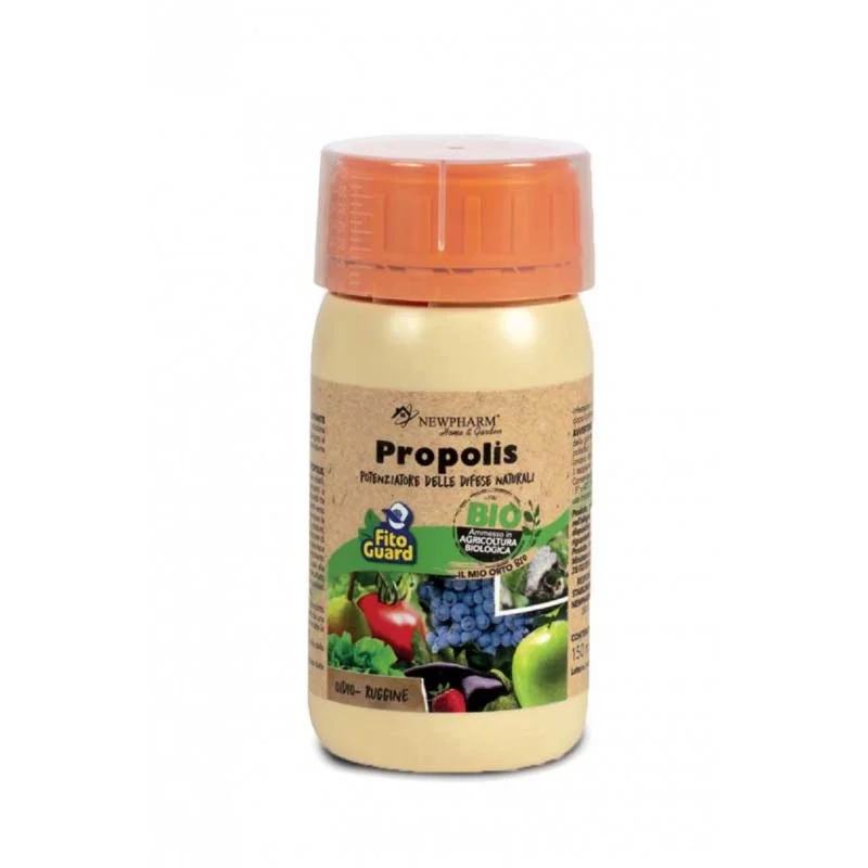 peragashop23484780