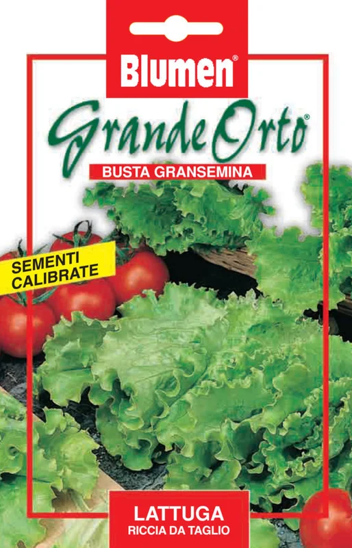 peragashop23553887