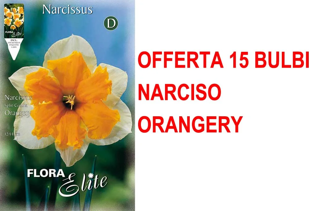 peragashop23581864