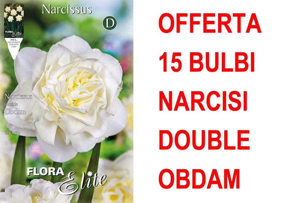 peragashop23581870