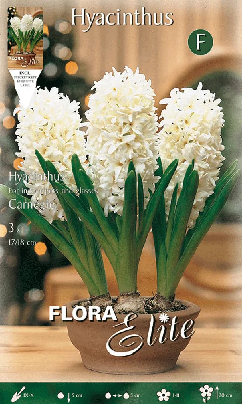 peragashop23584921