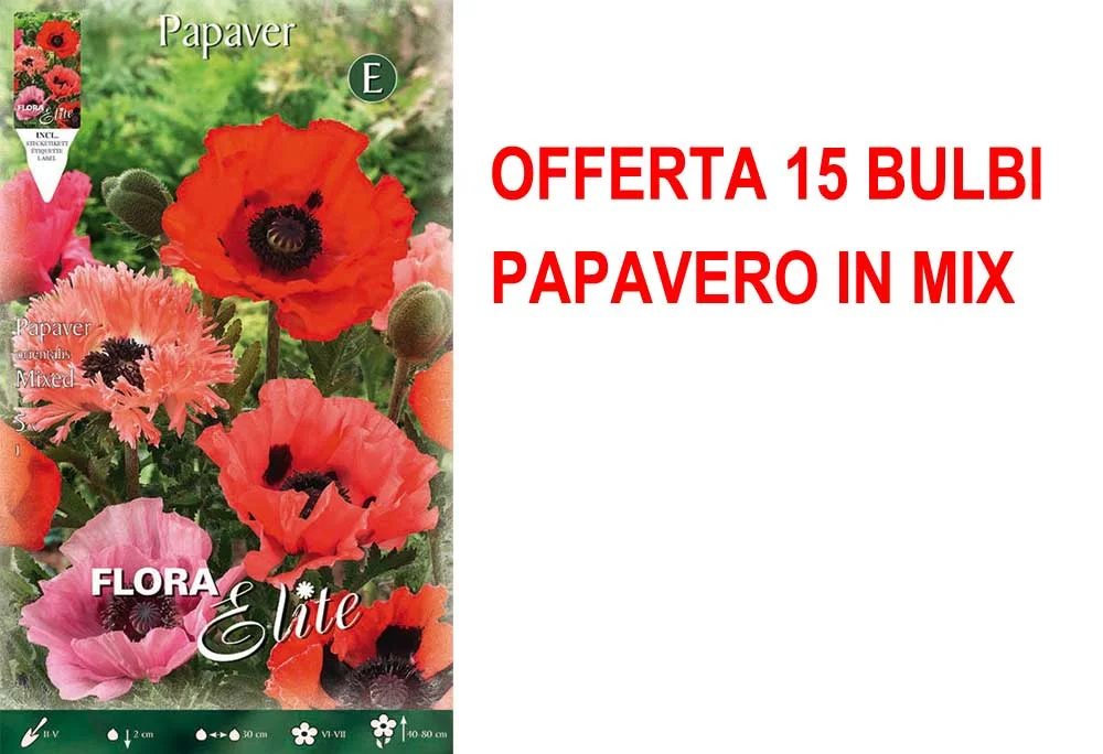 peragashop23586734