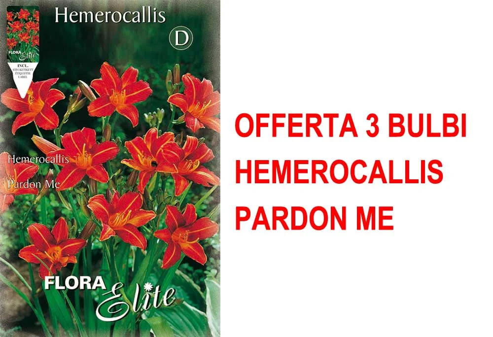 peragashop23586788