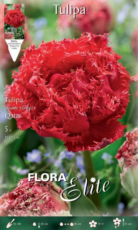 peragashop23589435