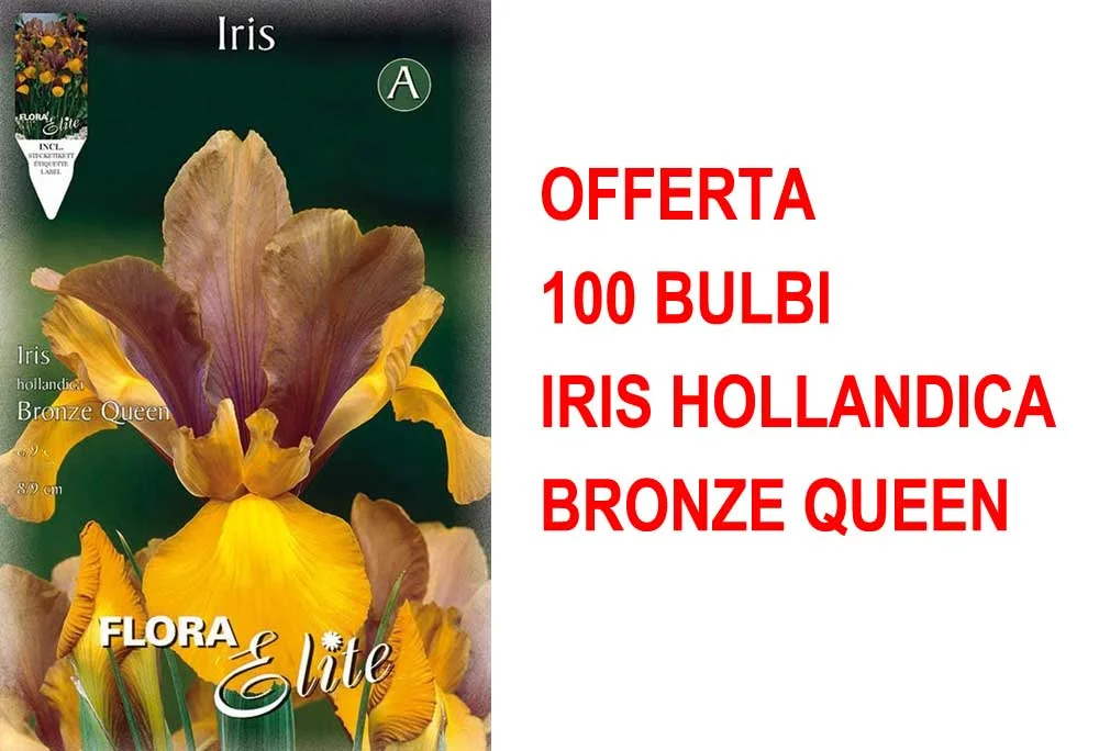 peragashop23589490