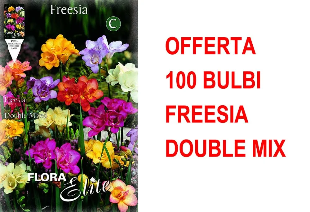 peragashop23589512