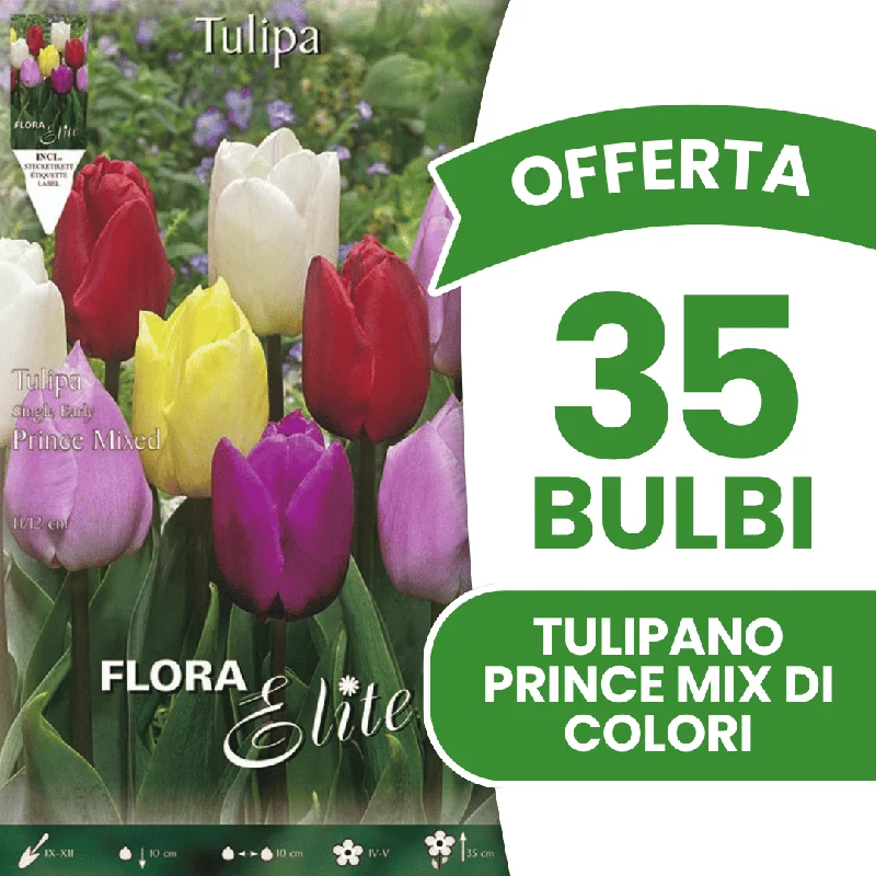 peragashop33449806