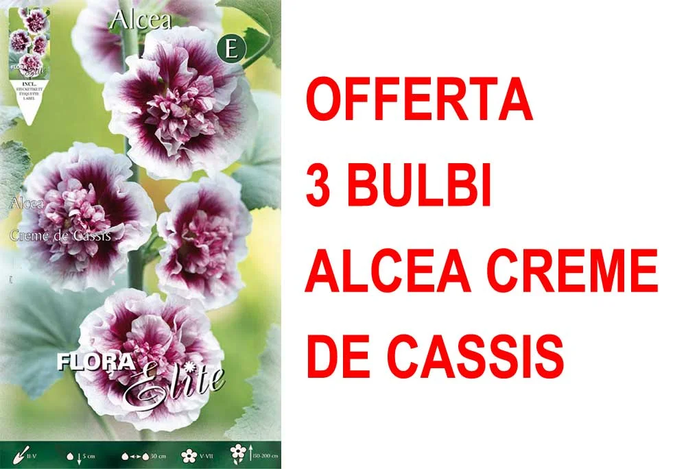 peragashop33457061