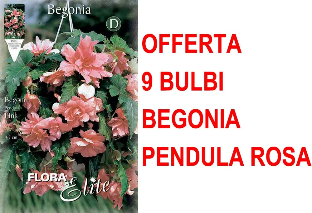 peragashop33458099