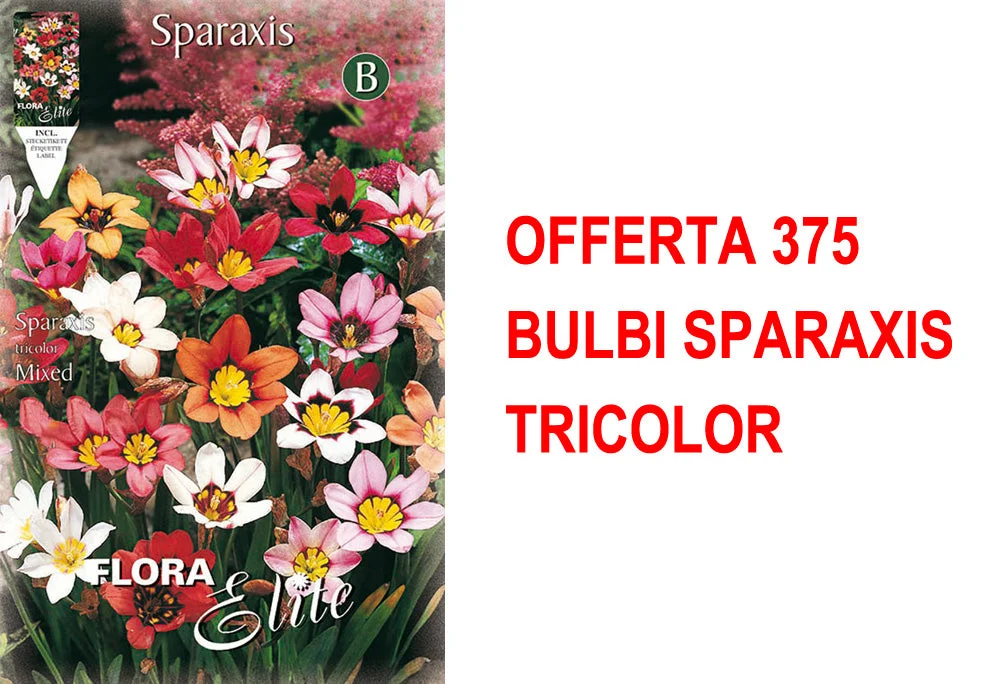 peragashop33460262