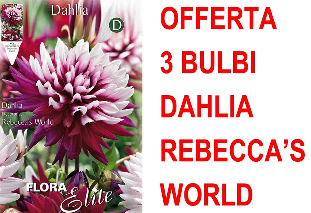peragashop33462984