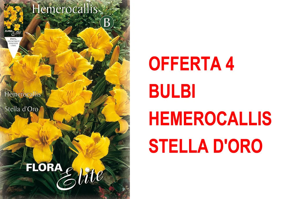 peragashop33463501