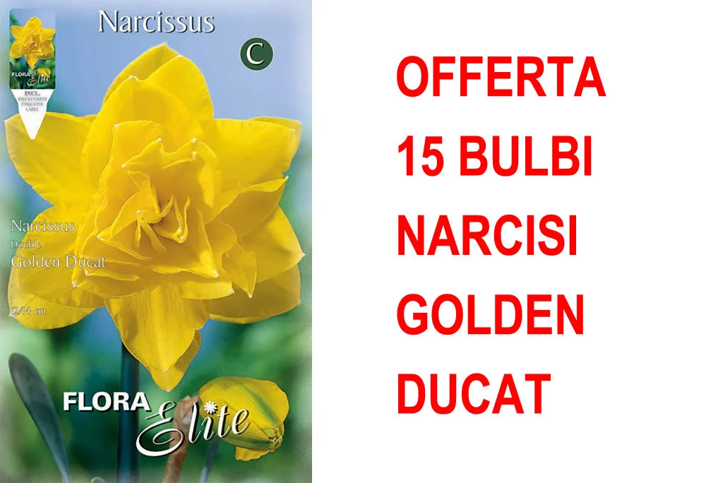 peragashop33471080