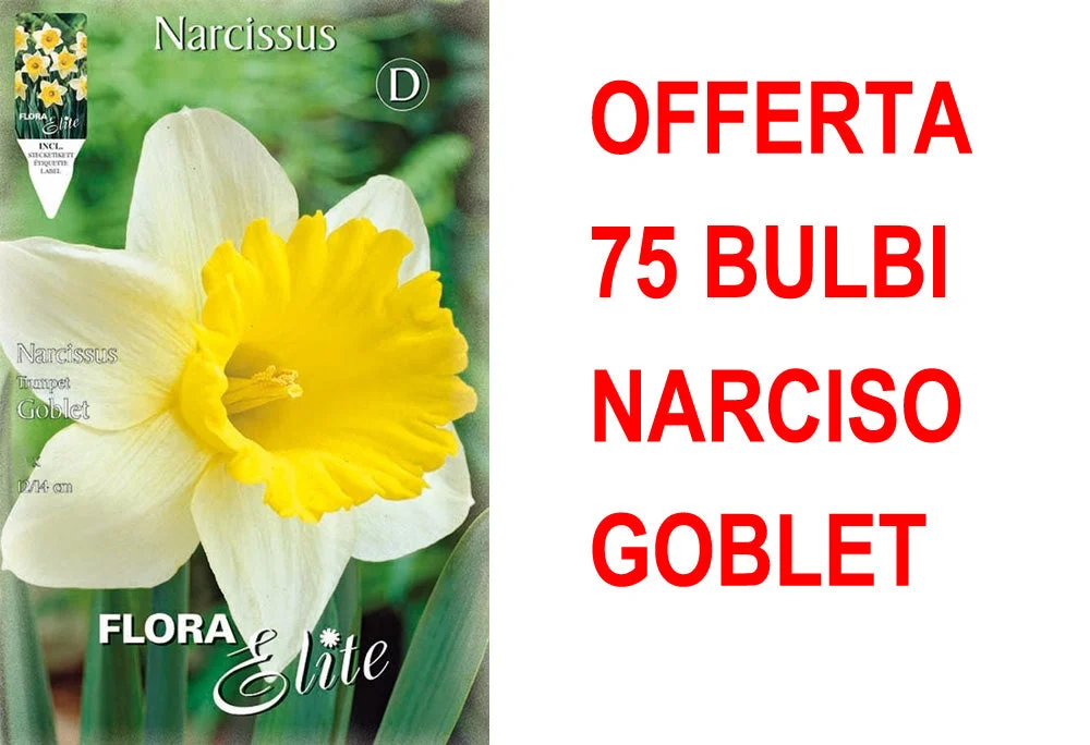 peragashop33471242