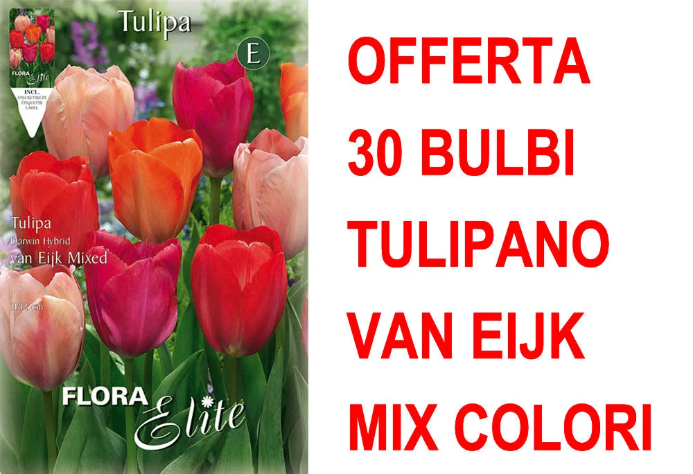 peragashop33471322
