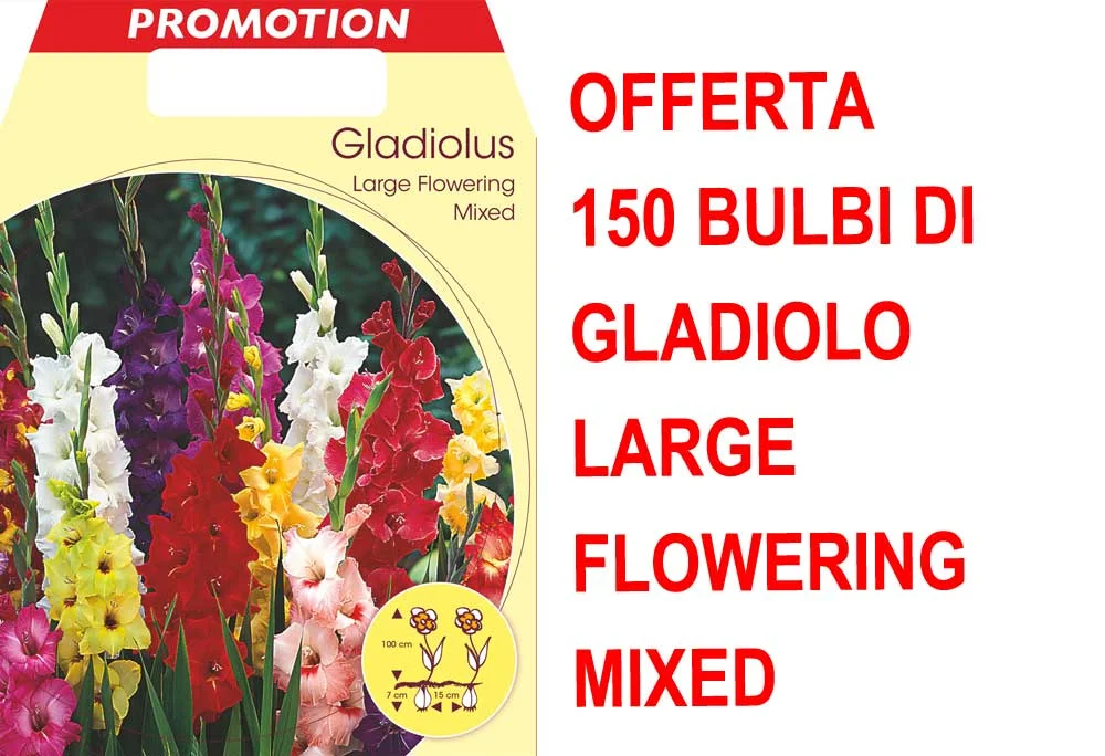 peragashop33473601