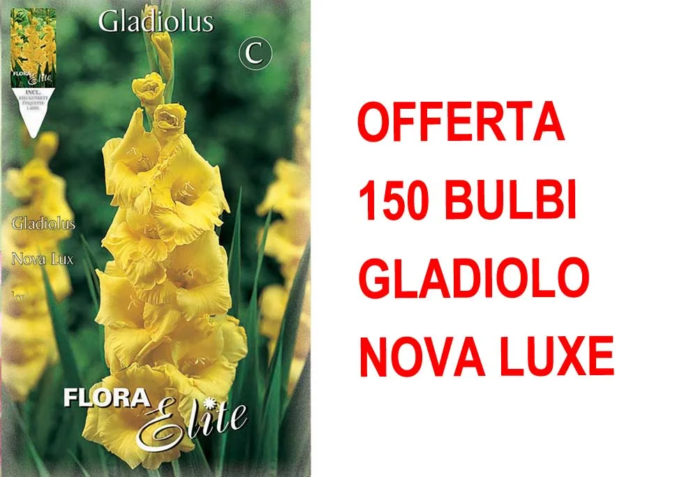 peragashop33473613
