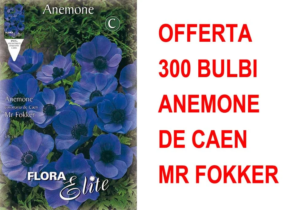 peragashop33483784