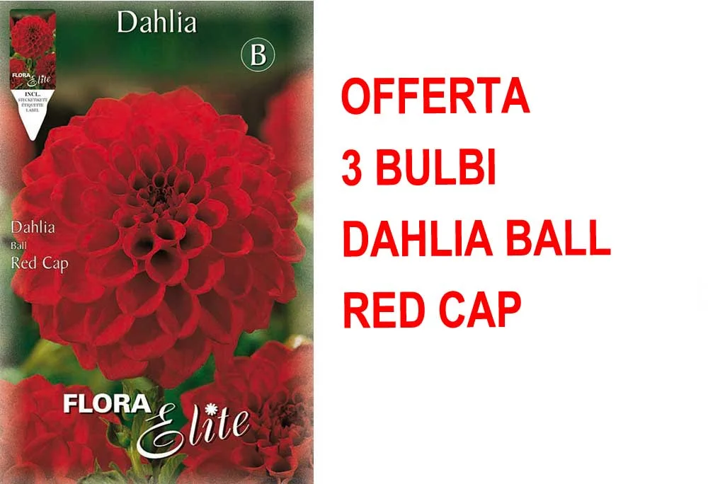 peragashop33485332