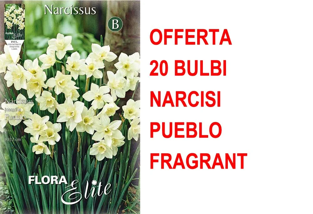 peragashop33528154