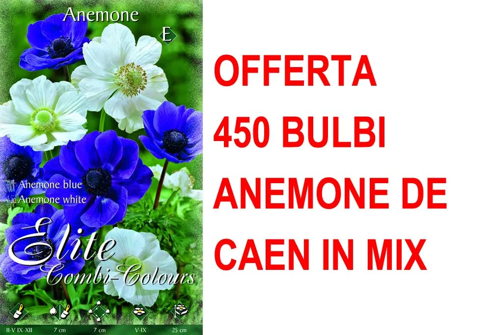 peragashop33530128