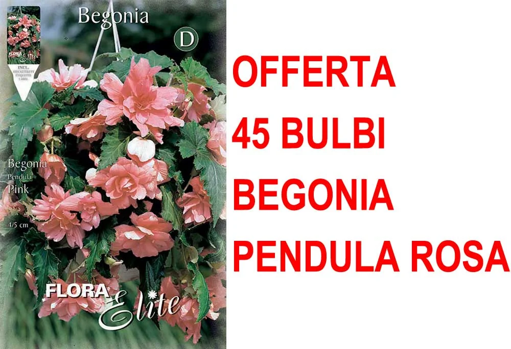 peragashop33530537