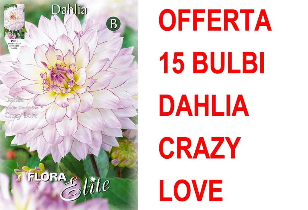 peragashop33531539