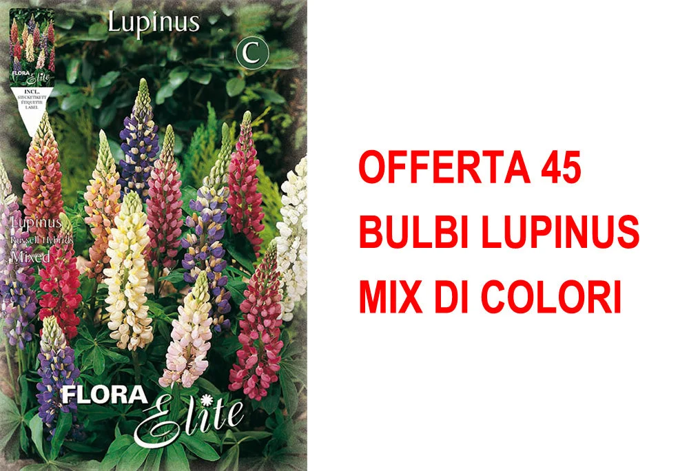 peragashop33531610