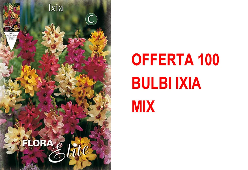 peragashop33532037