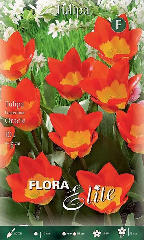 peragashop33569061
