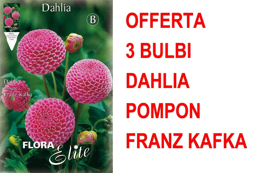 peragashop33591532