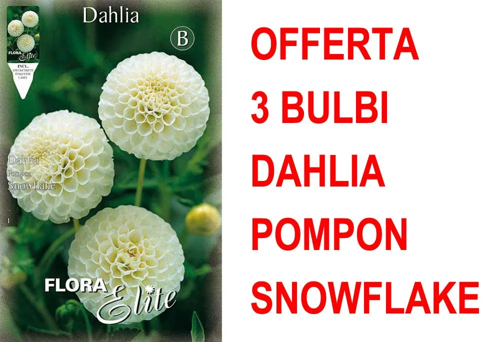 peragashop33591548