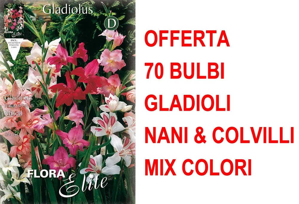 peragashop33591617