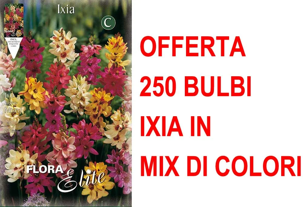 peragashop33591647