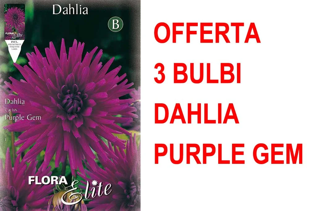 peragashop33591697