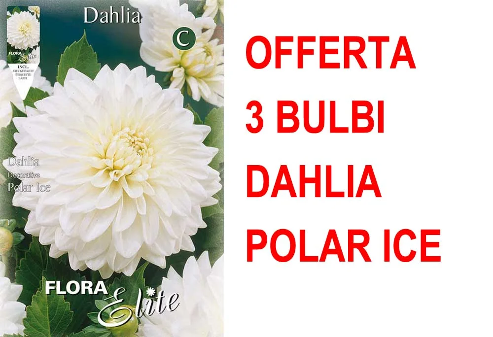 peragashop33591702