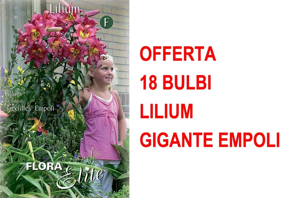 peragashop33591779