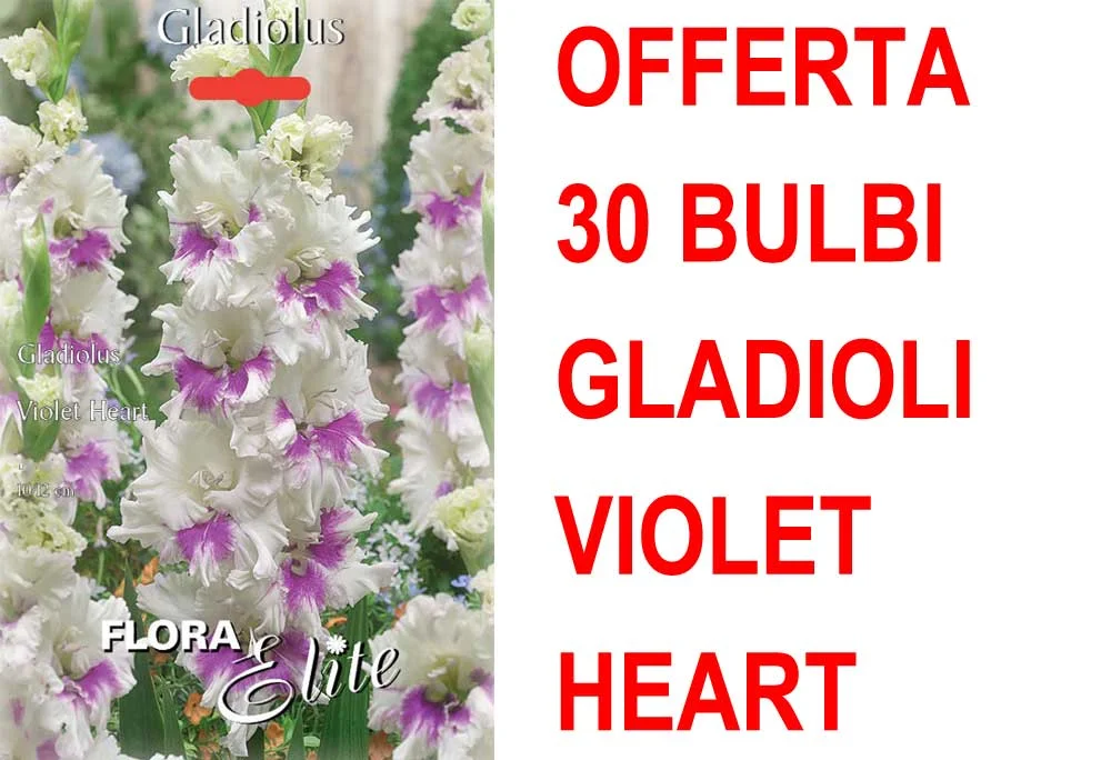 peragashop33591793