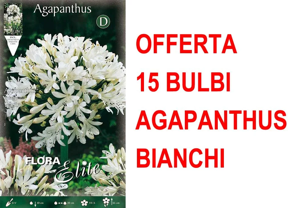 peragashop33773901