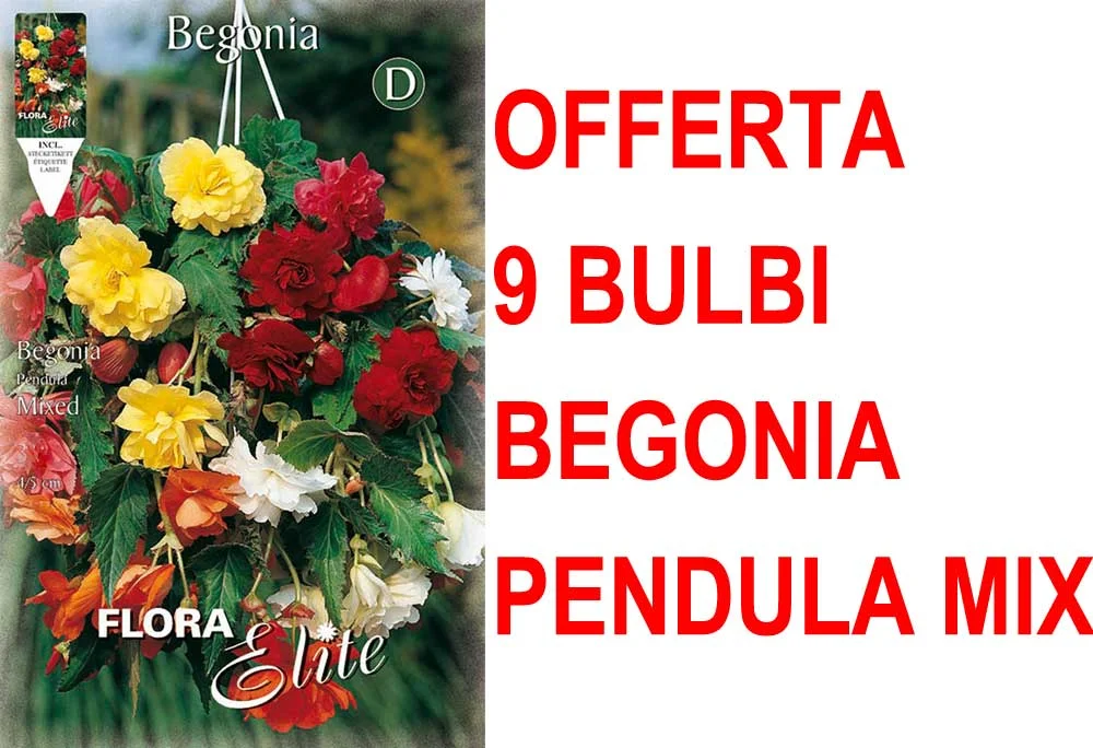peragashop33774121