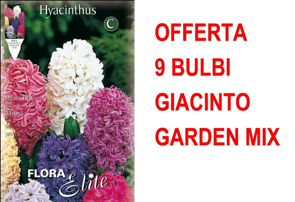peragashop33814348