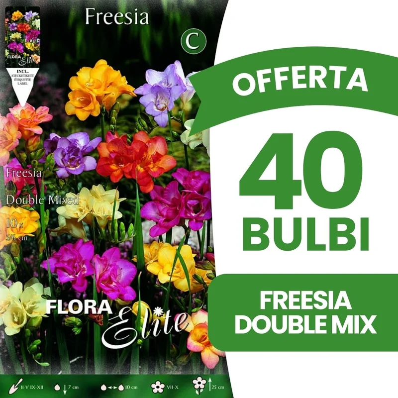 peragashop43479871