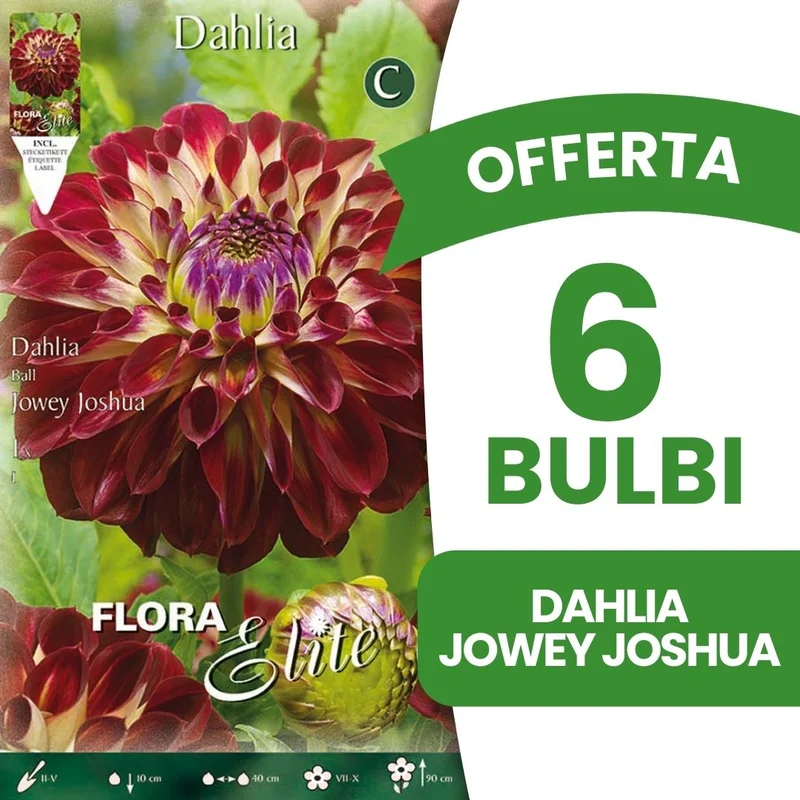 peragashop43479921