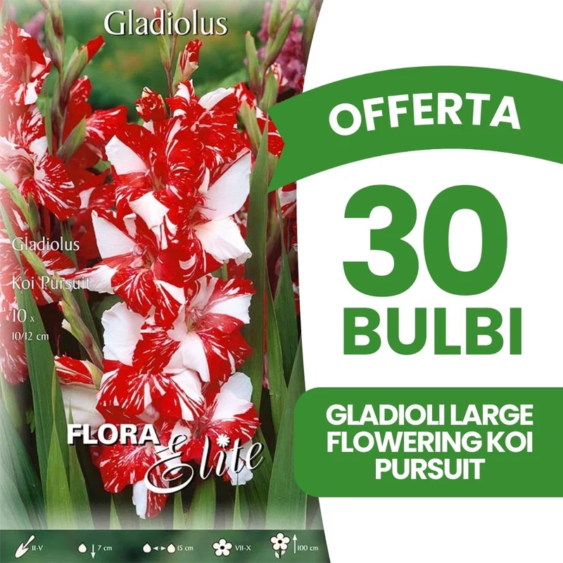 peragashop43479975